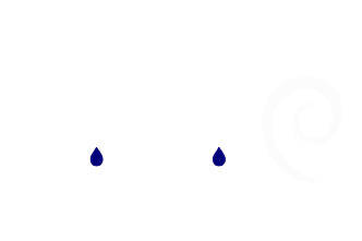 Piscine Top Shop